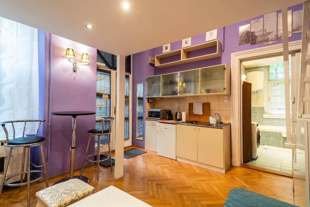 Apartament Chez Borisz Budapeszt Zewnętrze zdjęcie