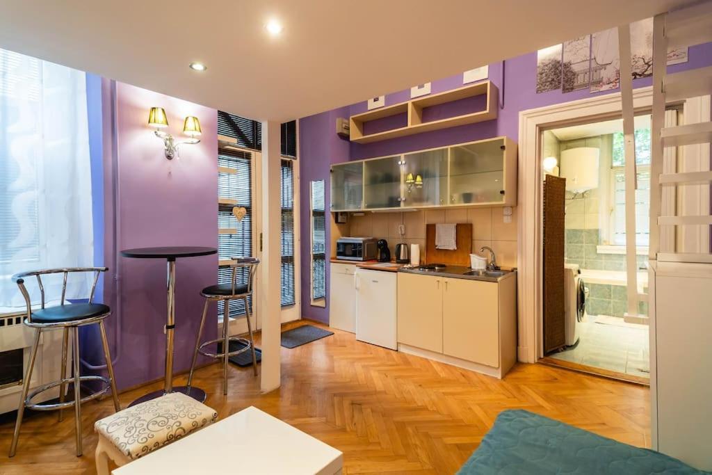 Apartament Chez Borisz Budapeszt Zewnętrze zdjęcie